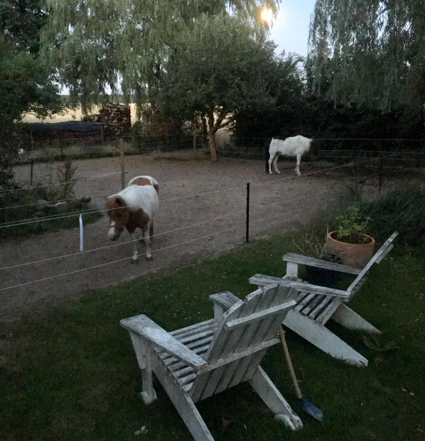 Ferienwohnung Alte Scheune Egestorf Exterior foto